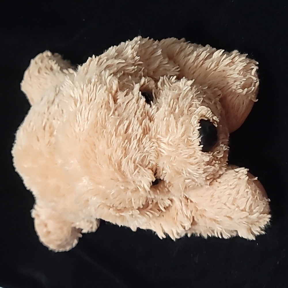 Aurora World Curly 🐶 Puppy,  gently pre-loved,‎  19" long, 10" wide, 7" tall